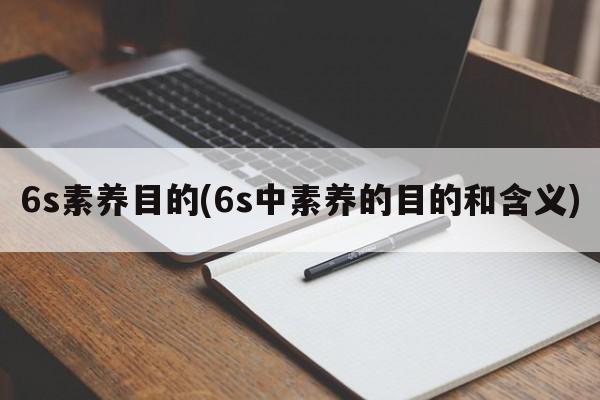 6s素养目的(6s中素养的目的和含义)